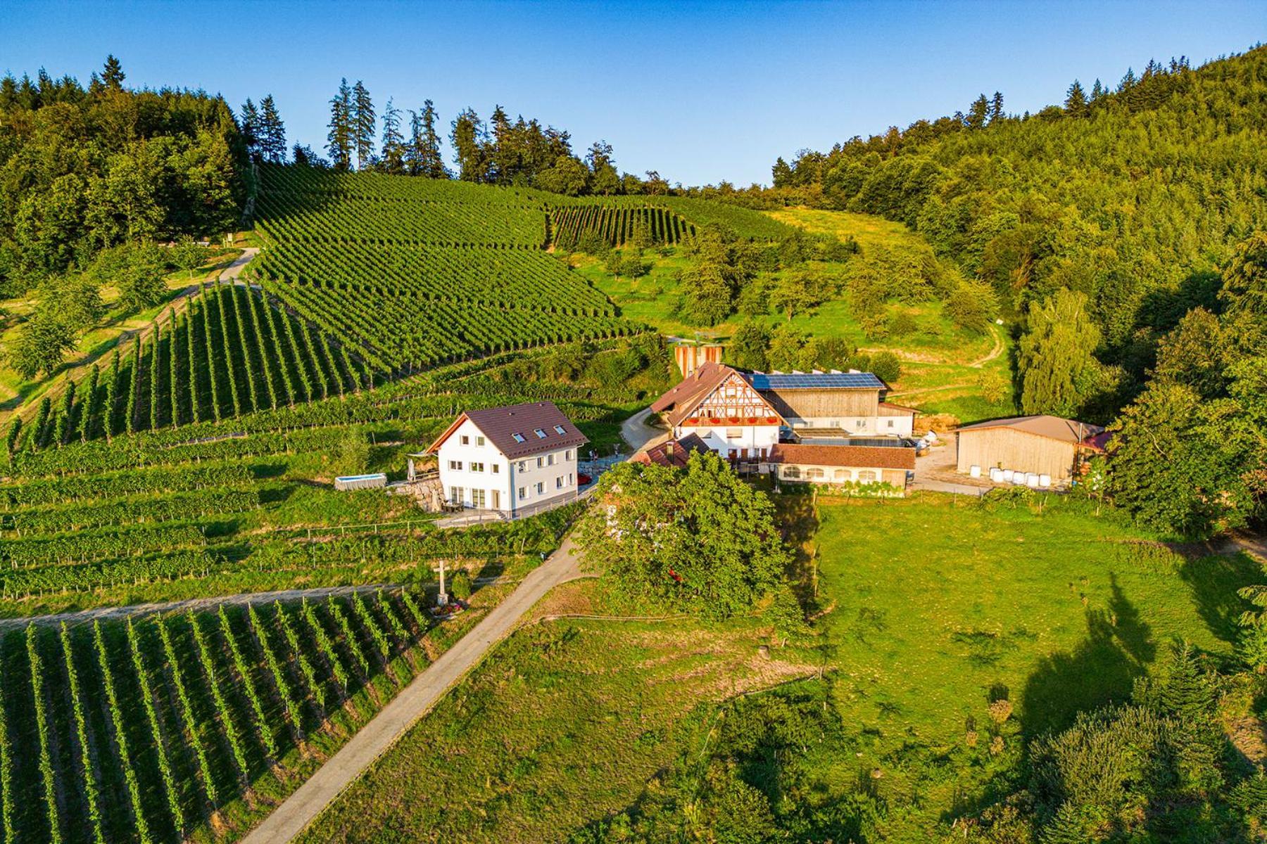 Paradieshof Lautenbach Exteriér fotografie